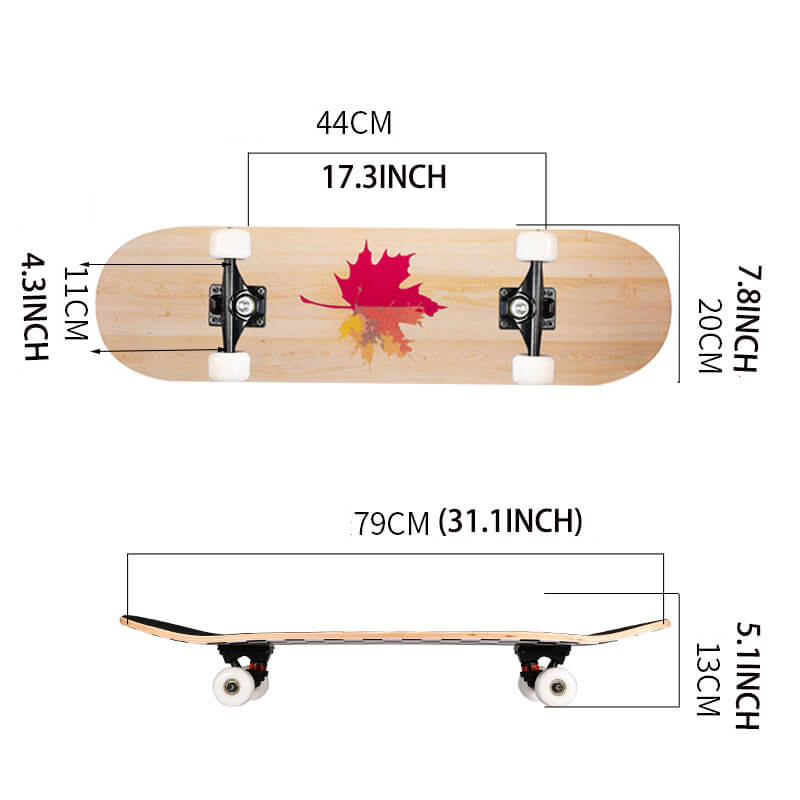 31inch 8 Layer Standard Skateboard Skateboards Wayzle 